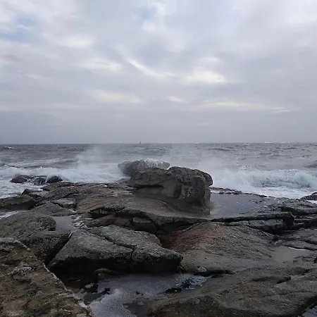 La Rose Des Mers